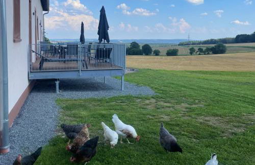 Ferienwohnungen - Gutshof Dürrhof - Foto 54