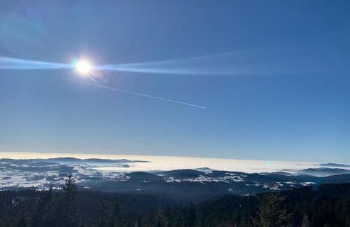 Große Ferienwohnung Hundertwasser am Dreisessel in Altreichenau - Foto 6