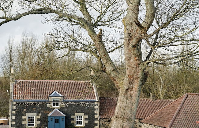 JOIVY Lathallan Mill Farmhouse - Foto 43