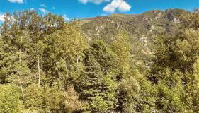 Le Cocon Nestois, Appt proche Saint-Lary- vue montagne - Foto 2