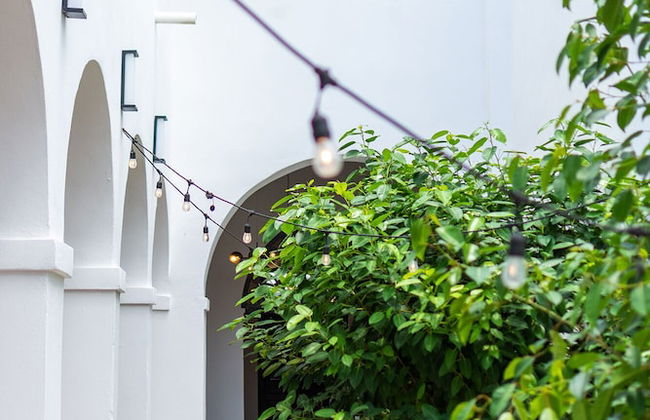 150 Sol by Stay with Bear - Photo 27