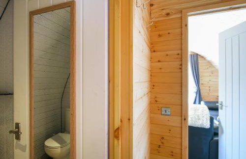 Barcud Coch - Uk44539 - Foto 11