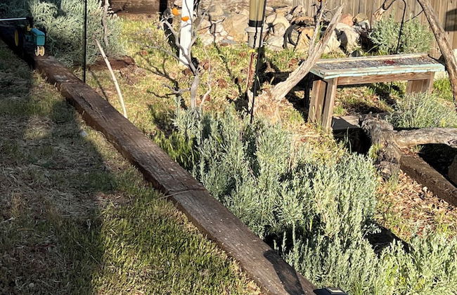 Hummingbird Mountain Cottage - Photo 40