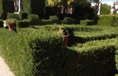 ViSIT CASTELO BRANCO - Foto 25