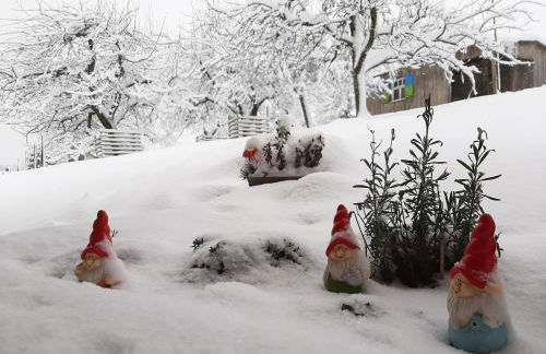 Ferienwohnung Bergele - Foto 29