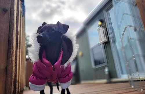 Cozy, Private Guest House #5 - Foto 14