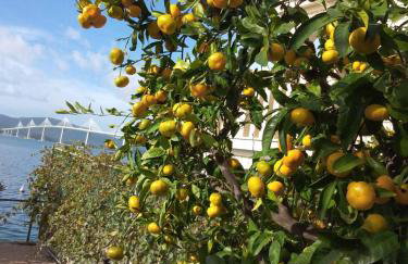 Apartment Nedjeljka - Photo 18