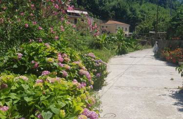 Casa Nonna Anna - Foto 34