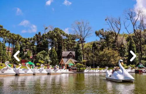 Flores da Montanha - Foto 55