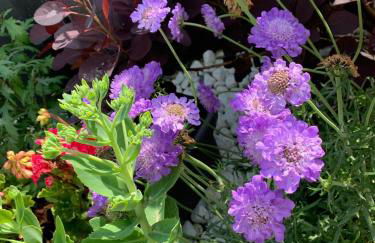 Apartment Ihm - Foto 23