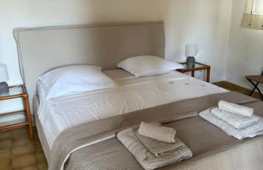 Le mazet du grand pin - Foto 2