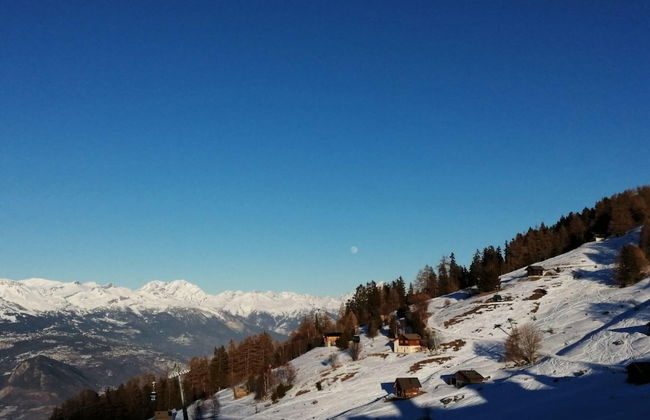 Stunning Apartment in Heart of Valley - Photo 15