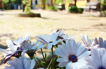 Residence Rendez Vous - Foto 24