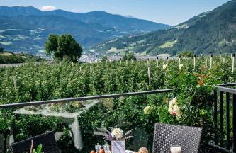 Tirolerhof guesthouse - Photo 77