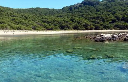 Apartments by the sea Cove Blaca, Mljet - 10416 - Photo 5