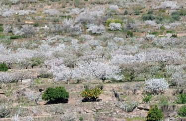 CON ENCANTO - Foto 12