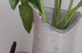 ANTICO CORTILE Favignana - Foto 32