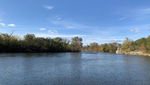 ENTRE RIVIERE ET FORET - Foto 2