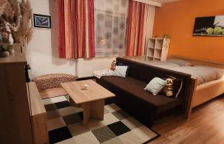 Familienfreundliche Ferienwohnung Eulennest - Foto 6