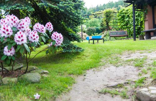 Agroturystyka Wzgórze Magnolii - Foto 25