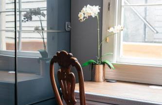 Luxury Historic Shotgun Home in Lower Garden District - Foto 35