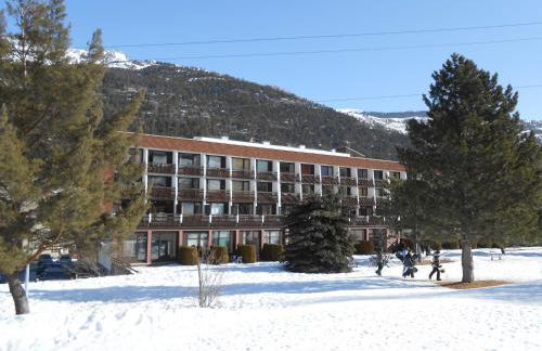 Aigle Noir - Photo 3