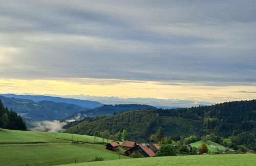 Ferienwohnung auf dem Bückle - Foto 20