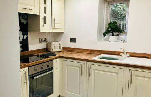 Nant caer Efail Cottage - Stream by the forge - Foto 4