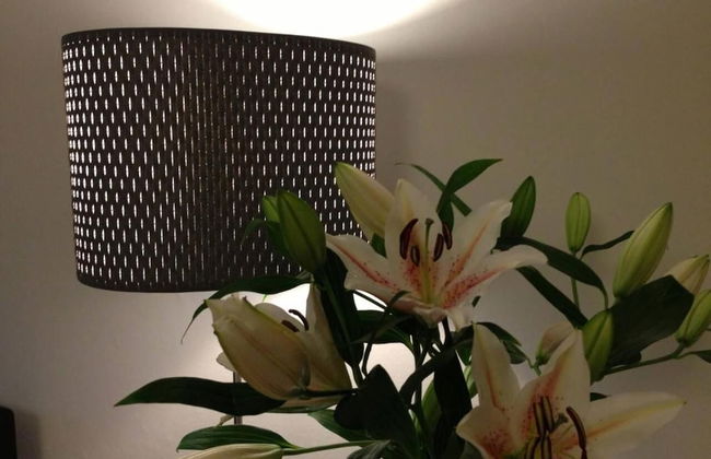 1 bedroom apartment in prime location - Photo 25