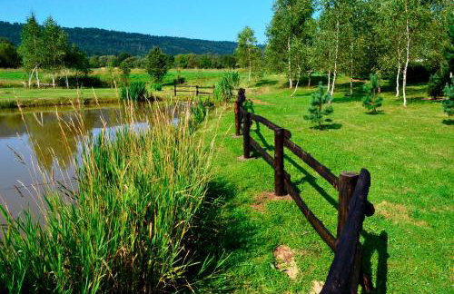 Bies Czadowy Zakątek - Foto 31
