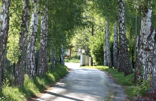 Bos en Kasteel - Foto 14