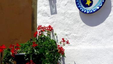 Terres de l'Ebre experience - Foto 1