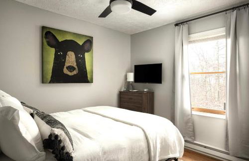 Shenandoah dog friendly cabin - river access, BBQ, outdoor dining and lounging, fire pit, AWD or 4WD encouraged - Foto 15