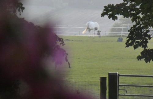 Rolling Mill, Wolds Way Holiday Cottages, 2 Bed, 1st floor - Foto 10
