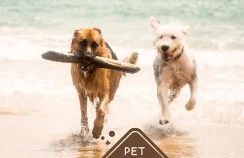 LA PAU DEL DELTA - Foto 34