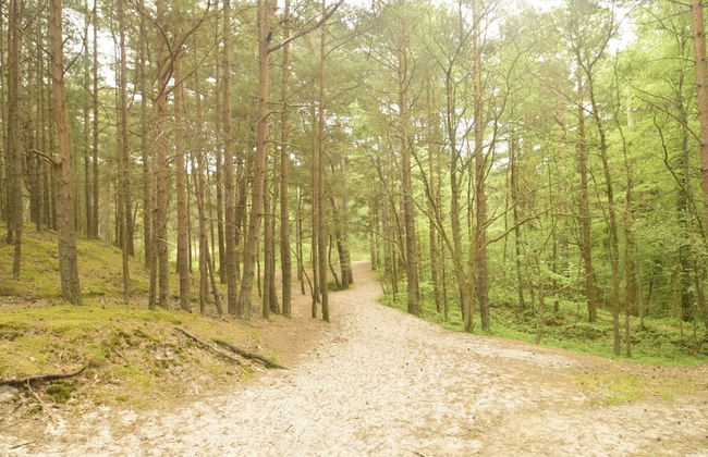 Tasteful Villa on the Polish Coast in Beautiful Nature, Lovely Garden, Sauna - Photo 37