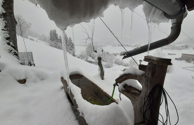 Kari's Schüür - Foto 14