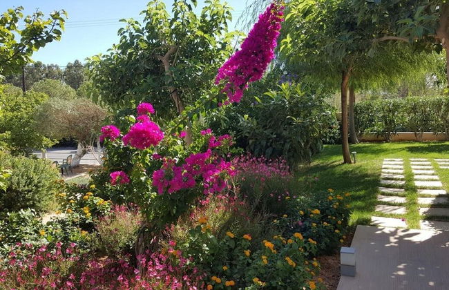 Mear Luxury Suite - The Ultimate Summer Nest - Foto 14