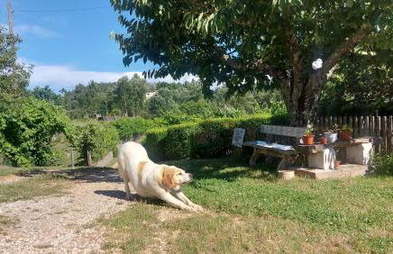 The Cottage near the lake - Foto 26