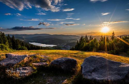 Fewo Sunneschii, Höchenschwand, Dorf am Himmel, Sauna im Haus - Foto 16