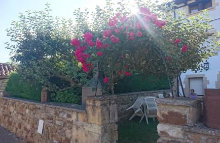 la casita del valle - Foto 6