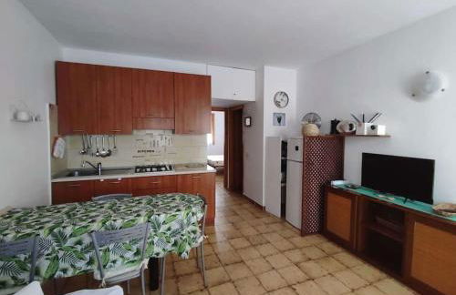 Casa Flamingo House - Photo 26