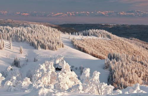 Ferienwohnung im Bernautal - Foto 26