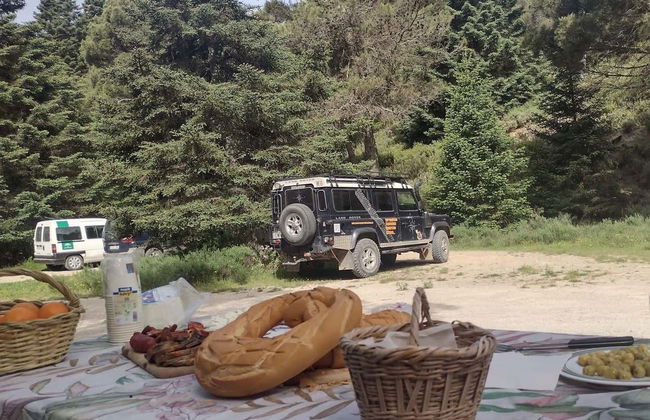Tour en 4x4 por el Parque Nacional Sierra de las Nieves - Foto 5