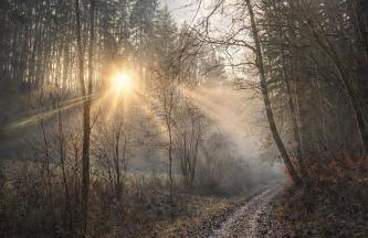 Haus Sommerseit'n Ruhe-Natur-Genuss - Photo 18