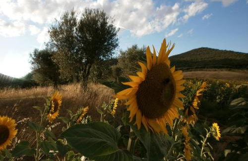 I Casali Di Colle San Paolo - Foto 65