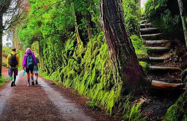 B&C Furnas House - Photo 72