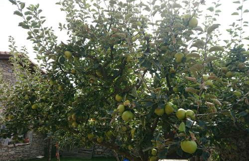 Ermita de Gredos - Foto 65