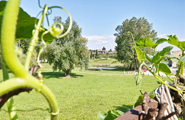 Appartamento le Campanelle - Foto 31