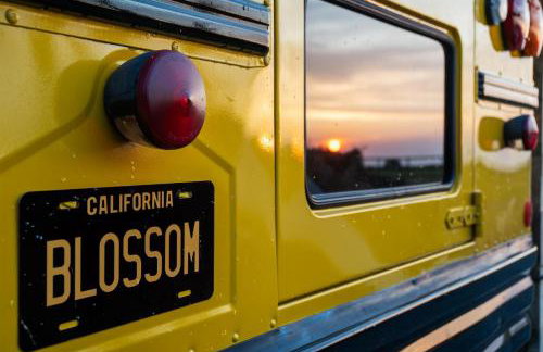 American School Bus - 1 Bedroom - Blossom Farm - Tiers Cross - Foto 52